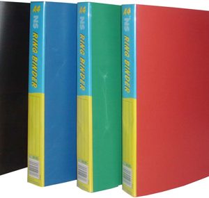 NS A4 RINGBINDER
