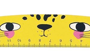 STAY WILD WOODEN RULER